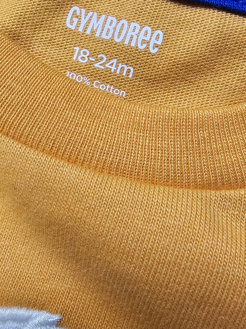 Gymboree Orange Cargo Shorts with Playful Pup Tee Set